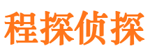 宏伟市侦探公司